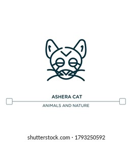 ashera cat vector line icon. Simple element illustration. ashera cat outline icon from cat breed bodies concept. Can be used for web and mobile
