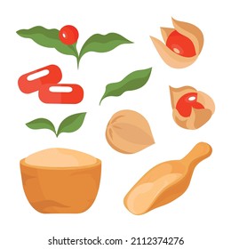 Ashwaganda. Medicinal plant. Berries, capsule, leaves, powder. Vector set on a white background.
