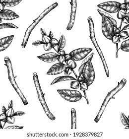 Ashwagandha Background. Medicinal Plant Hand-sketched Illustration. Adaptogenic Herbs Backdrop. Botanical Sketch For Traditional Medicine, Ayurveda And Cosmetics Seamless Pattern 