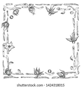 Ashwagandha hand drawn border frame pattern with berries, lives and branch in black color on white background. Retro vintage graphic design Botanical sketch drawing. Vector illustration.