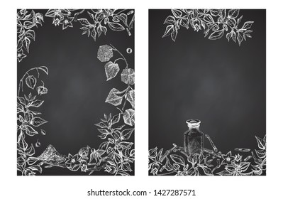 Ashwagandha hand drawn border frame pattern with berries, lives and branch in white chalk color on black chalkboard background. Retro vintage graphic design Botanical sketch drawing illustration