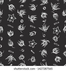 Ashwagandha hand drawn seamless pattern with berries, lives and branch in white chalk color on black chalkboard background. Retro vintage graphic design Botanical sketch drawing illustration
