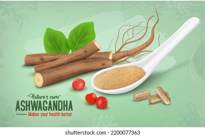 Aswagandha Herb Pistolas secas y Rasgos ilustraciones vectoriales con polvo y bayas de ashwagandha