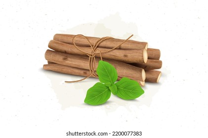 Ashwagandha herb Roots stems vector illustration with green leaves