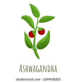 Ashwagandha plant icon. Cartoon of ashwagandha plant vector icon for web design isolated on white background