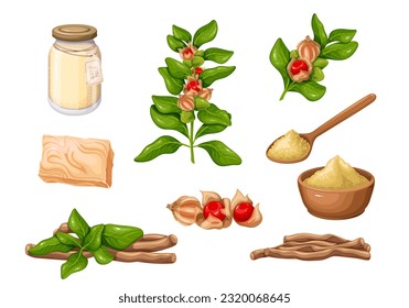 Ashwagandha set vector illustration. Cartoon isolated Ashwagandha dry root pile and powder in bowl or spoon, bush branch of Indian ginseng with berry fruit and green leaf, ayurvedic soap and bath salt