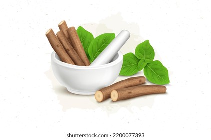 Ashwagandha shrub dry sticks with green leaves in Marble Mortar or ayurvedic crusher vector illustration