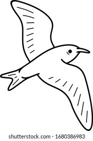 Ashy storm-petrel. Vector outline icon.