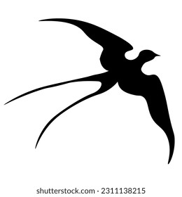 Asia of birds. Crane, stork, heron. Vector oriental birds.