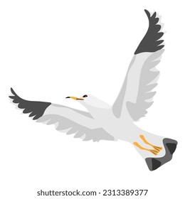 Asia of birds. Crane, stork, heron. Vector oriental birds.