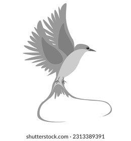 Asia of birds. Crane, stork, heron. Vector oriental birds.