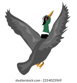 Asia of birds. Crane, stork, heron. Vector oriental birds.