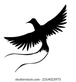 Asia of birds. Crane, stork, heron. Vector oriental birds.