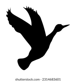 Asia of birds. Crane, stork, heron. Vector oriental birds.