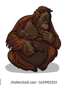 Asian animal female orangutan ape with baby-ape sitting isolated in cartoon style. Educational zoology illustration, coloring book picture.
