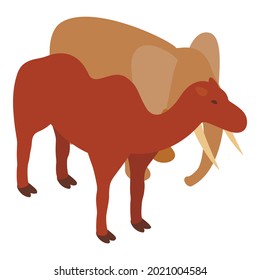 Asian animal icon isometric vector. Asian elephant and bactrian camel. Zoo animal