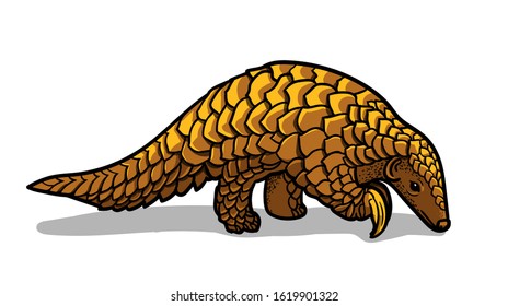 Asian animal pangolin isolated in cartoon style. Educational zoology illustration, coloring book picture.