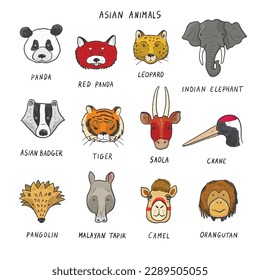 Asian animals funny faces vector illustrations set.