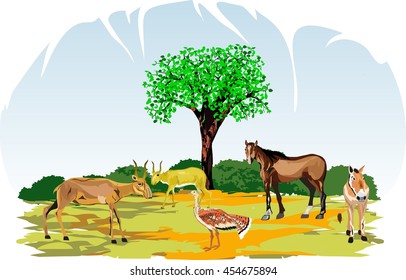 Asian animals on natural wildlife condition vector set