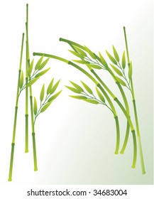 asian bamboo decoration, vector background illustration