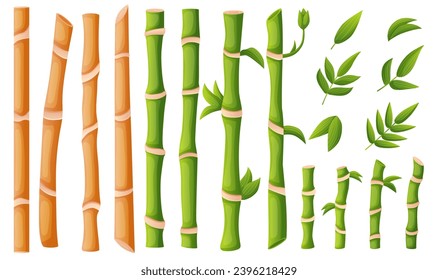 Asian bamboo plants and stems. Cartoon isolated bamboo stalks with leaves. Natural botanical oriental elements, decorative sticks nowaday vector set