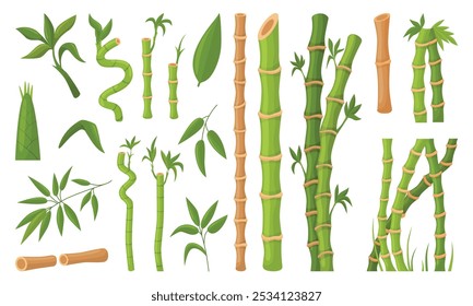 Asian bamboo plants and stems. Green bamboo leaves and stalks. Natural wood sticks, decorative home plant chinese style, neoteric vector set