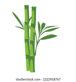 asian bamboo tree vector design