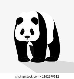 Asian bear panda isolated on white background, black and white bear. Funny bear. Flat design. Vector illustration. EPS10