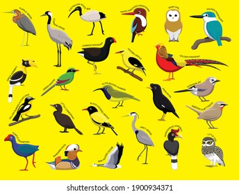 Asian Birds with Name Cartoon Character Set 1