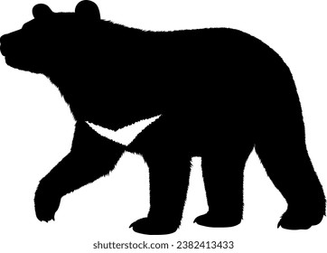 Ilustración de silueta de oso negro asiático