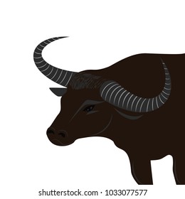 Asian buffalo with long horns turned back - isolated on white background - vector art illustration.