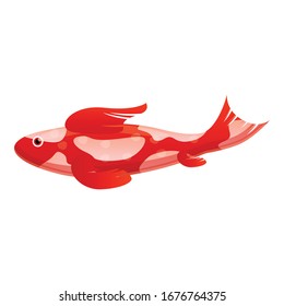 Asian carp icon. Cartoon of asian carp vector icon for web design isolated on white background