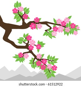 Asian Cherry Blossom Tree. Blossoming tree.