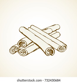 Asian Cinnamon fresh rolled pod bunch on white backdrop. Freehand line brown ink hand drawn picture logo sketchy in retro art scribble graphic style pen on paper. Closeup macro view and space for text