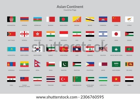 Asian Continent Rectangle flag icon