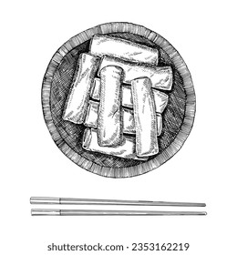 Asian dishes. Hand-drawn illustration of Chinese Spring Rolls. Vector. Ink drawing. 