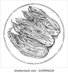 Asian dishes. Hand-drawn illustration of Kimchi. Vector. Ink drawing. 