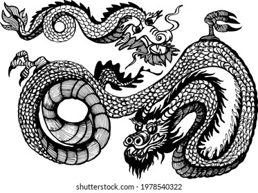 Asian dragons executed in black and white on a white isolated background 