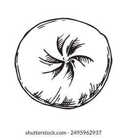 asian dumpling, illustration in sketch style. frozen convenience food