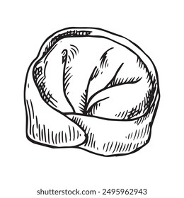 asian dumpling, illustration in sketch style. frozen convenience food