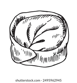 asian dumpling, illustration in sketch style. frozen convenience food