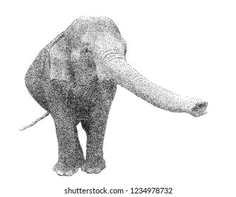 Asian elephant. Isolated on white background. Vector illustration. Sketch style.