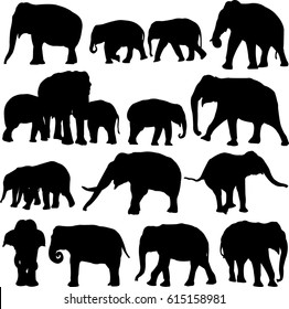 Asian elephant silhouette contour