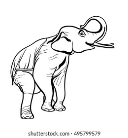 Asian elephant sketched with vector graphic.
