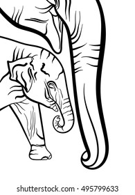 Asian elephant sketched with vector graphic.