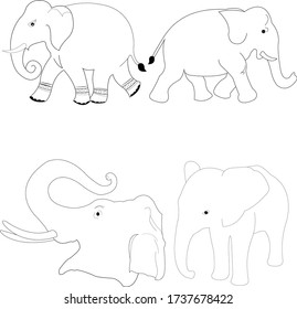Asian Elephant vector template set