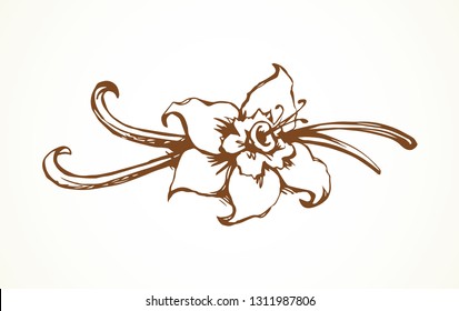 Asian exotic scent herbal cook petal on light yellow backdrop. Outline black ink hand drawn closeup object logo. Pictogram emblem sketchy in art retro doodle engraved style pen on paper space for text