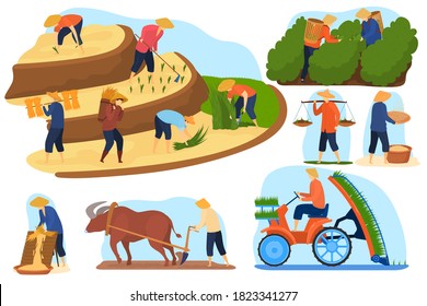 Asian farm rice fields vector illustration set. Cartoon flat farmer people and buffalo animal work on terrace agricultural rice plantations, farming, harvesting. Agriculture in Asia isolated on white