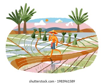 Asian farmer carrying harvest in agriculture field. Farm with Vietnamese worker walking on road in nature vector illustration. Young man in hat collecting crops in fields in Asia.