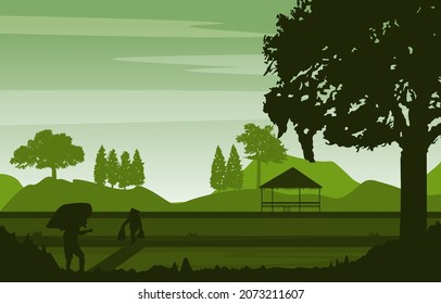 Asian Farmer Paddy Rice Field Agriculture Nature View Illustration